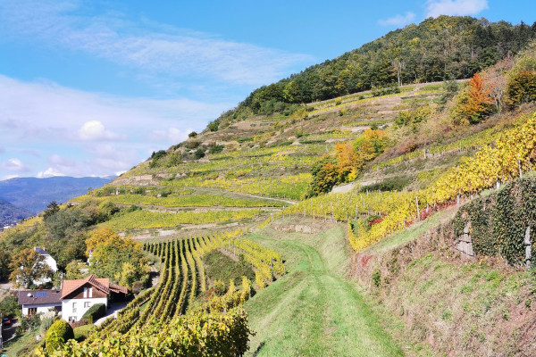 Visit Adventure - Bonjour Alsace