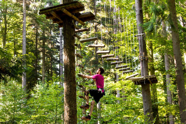 High rope course and zip lines - Parc Alsace Aventure - Bonjour Alsace