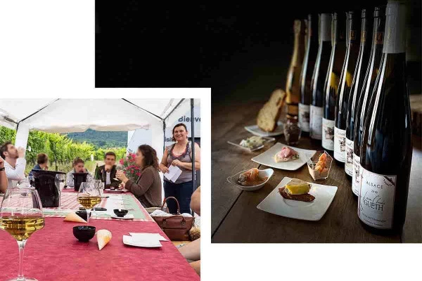 Gourmet Aperitif at the Independent Winegrower - Wines from Terroirs and Old Vines - Bonjour Alsace