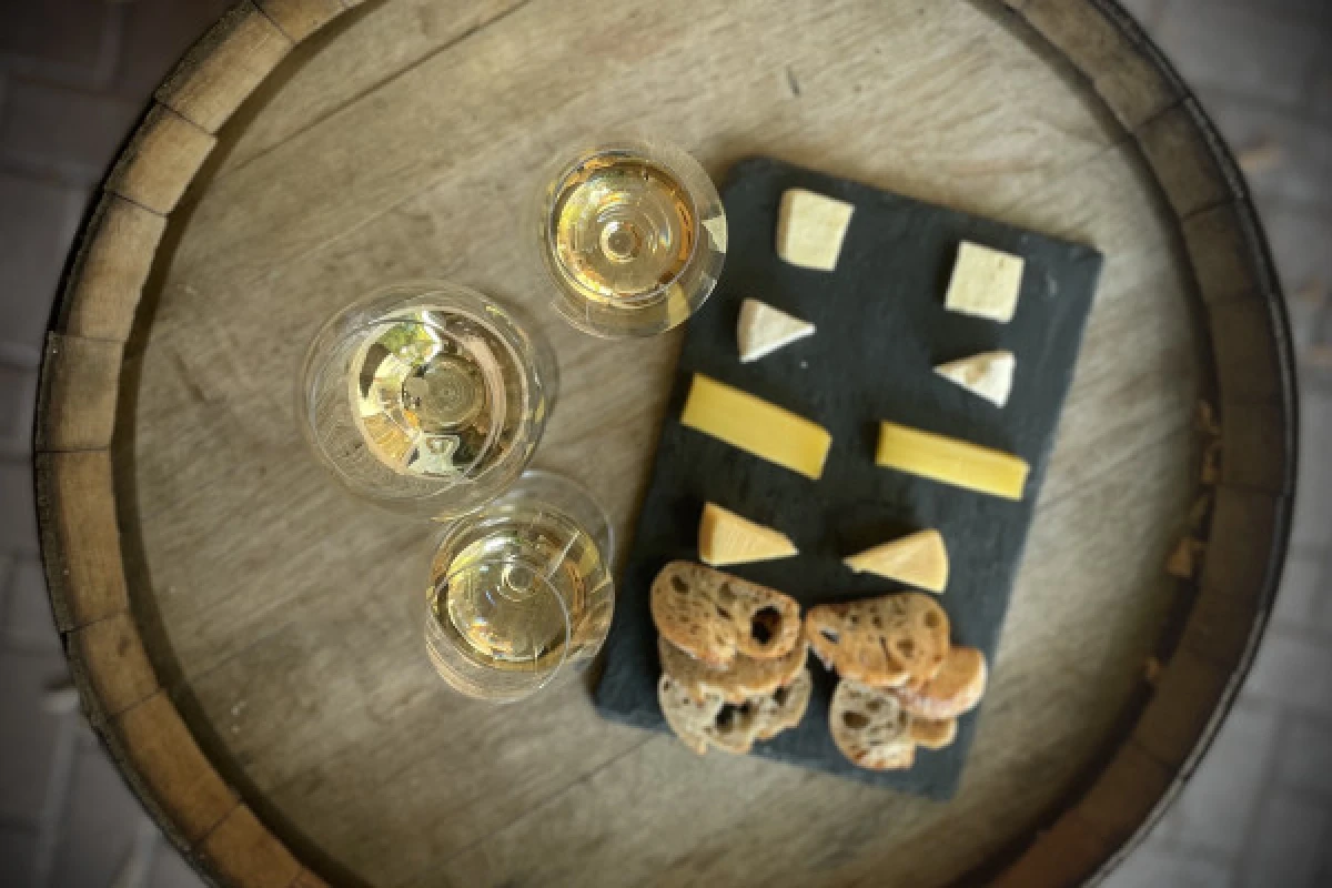 Wine and Cheese Aperitif in the Munster Valley - Bonjour Alsace