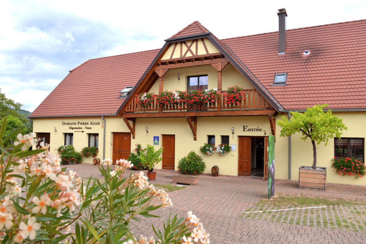 Alsace Wine Experience: Guided Tasting & Cellar Tour - Bonjour Alsace
