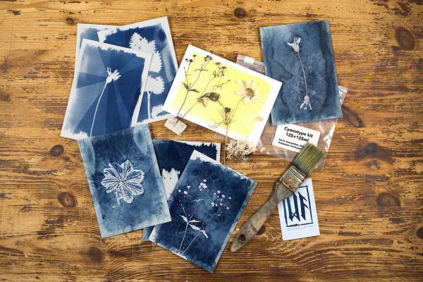 Photo workshop - Cyanotype printing - Bonjour Alsace