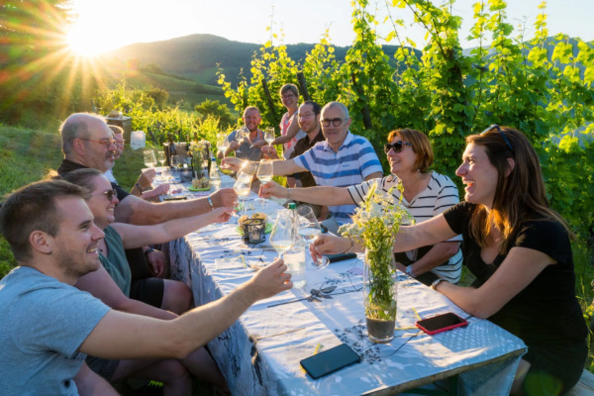 A great experience in the vineyards - Bonjour Alsace