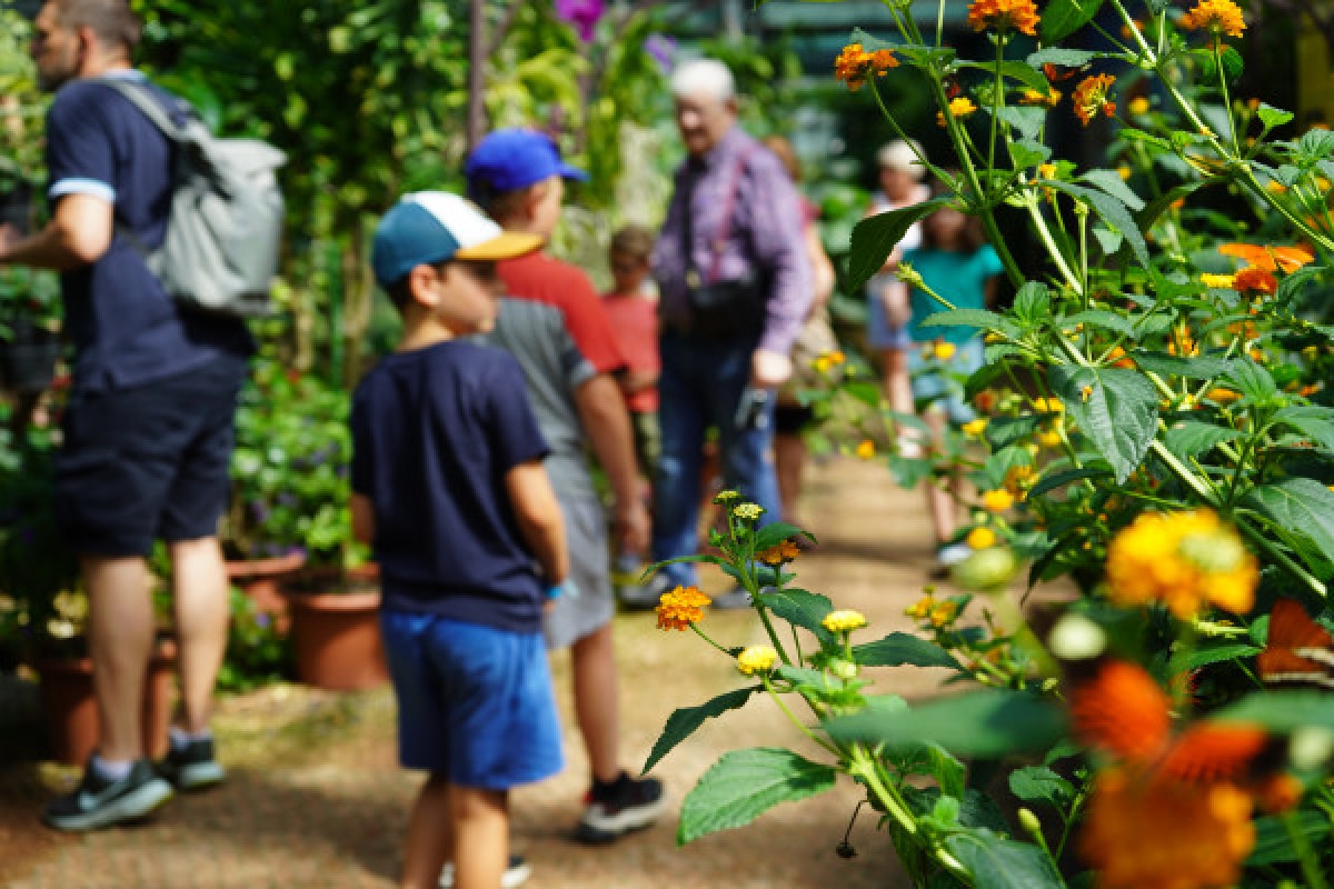 Personnes visitant le jardin des papillons