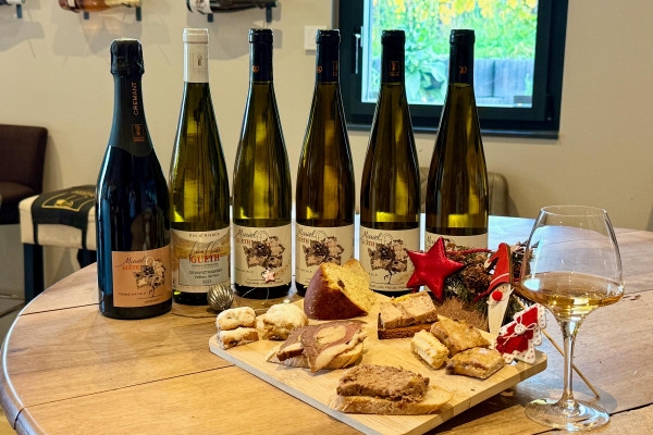 Christmas wine cellar – Gourmet tasting in the heart of the Alsatian vineyards - Bonjour Alsace
