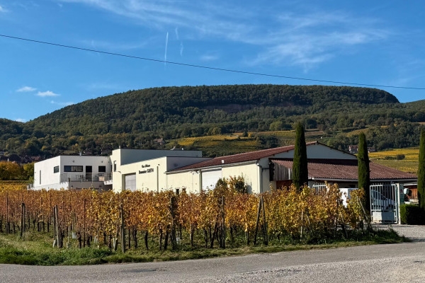 Christmas Wine Cellar - Organic Alsace wines & festive delights - Bonjour Alsace