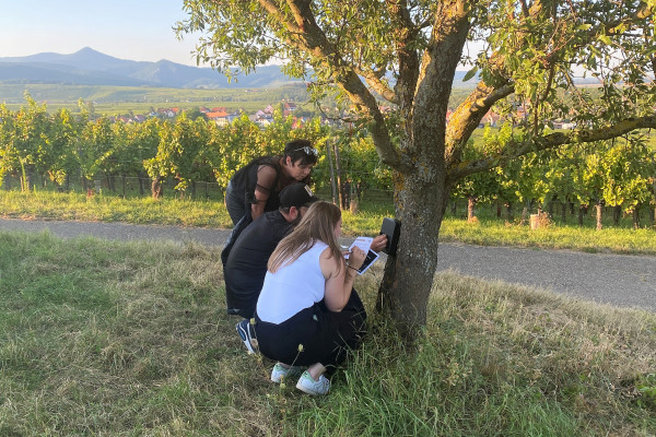 Treasure hunt in the Marckrain vineyard - Bonjour Alsace