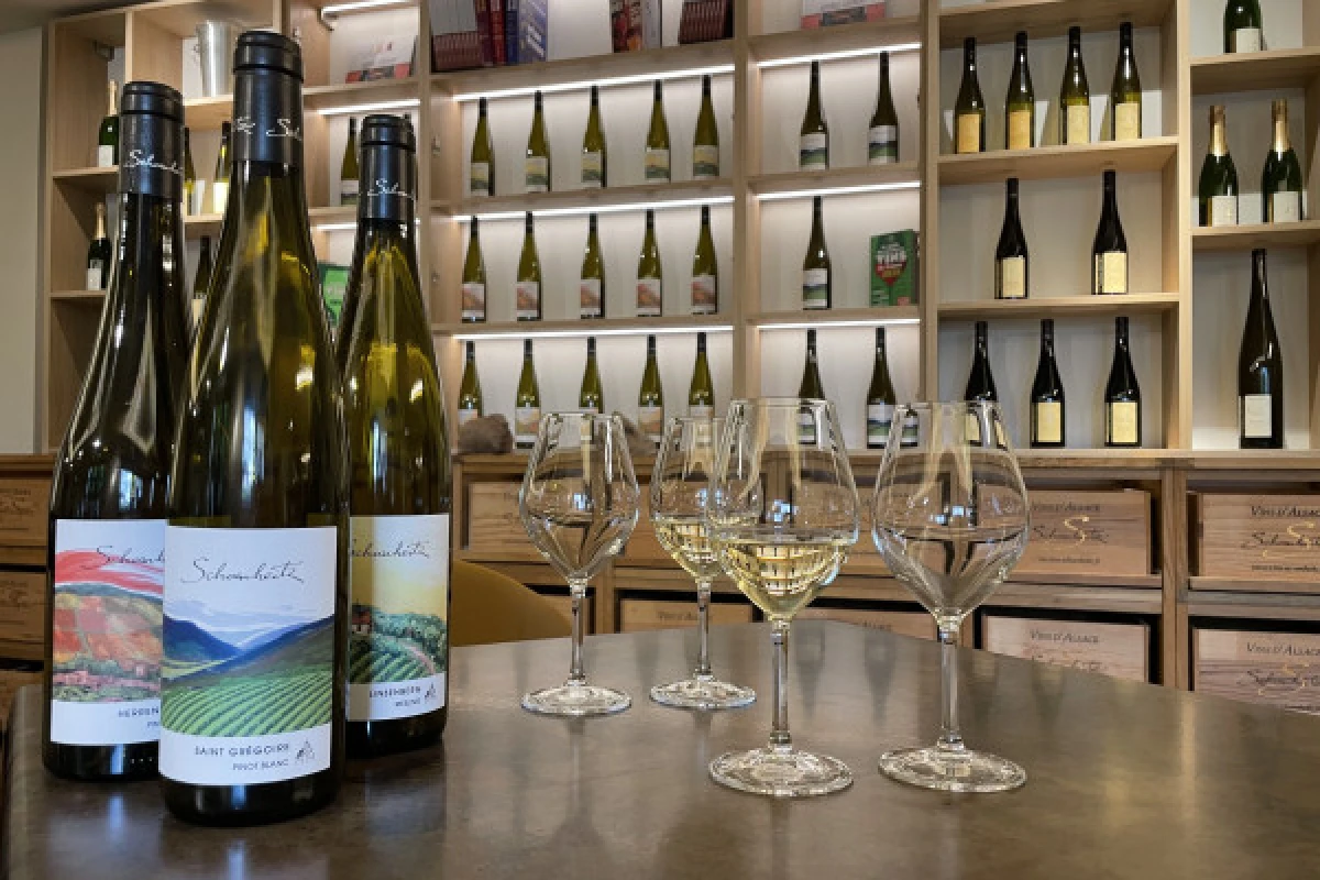 Discovering the wines of Alsace - Bonjour Alsace