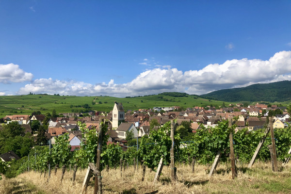 Winegrower discovery: the soul of a vineyard - Bonjour Alsace