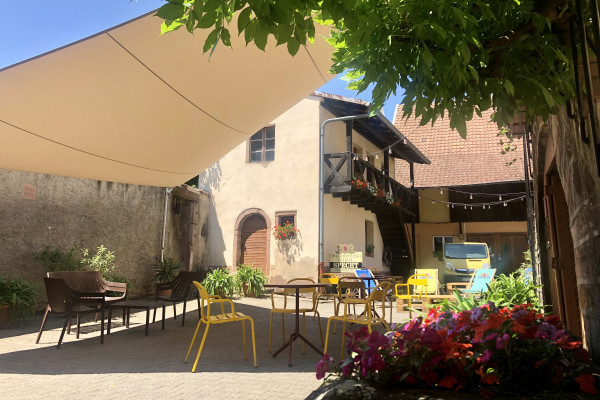 Winegrower discovery: the soul of a vineyard - Bonjour Alsace