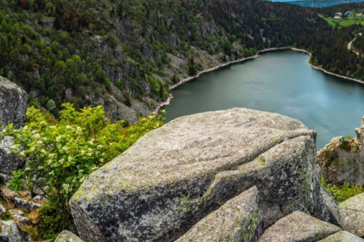 Discovery walk on Lac Blanc - Bonjour Alsace