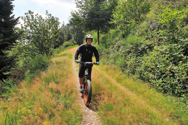 E-Trott Adventure - Park Alsace Aventure - Bonjour Alsace