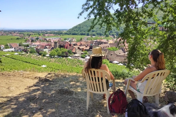 KIENTZHEIM #3 - Workshop - Discover the limestone terroirs of Kaysersberg - Bonjour Alsace