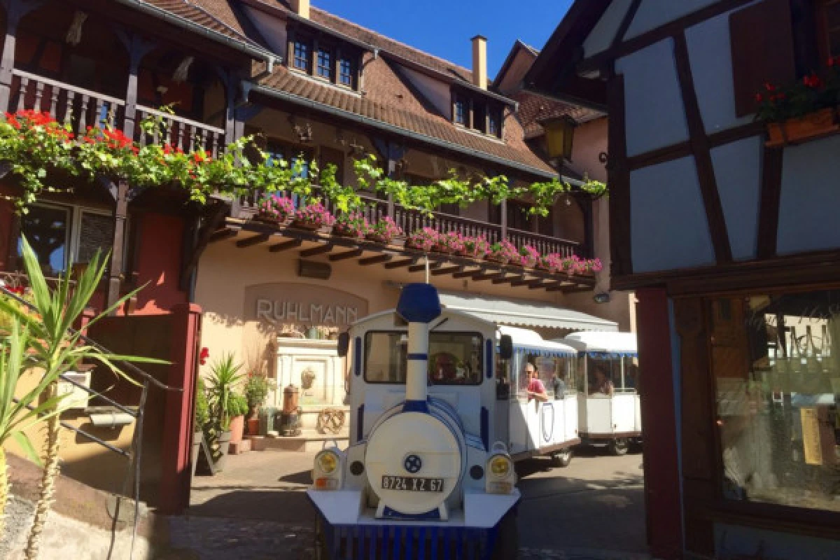 The Little Winegrower's Train - Bonjour Alsace