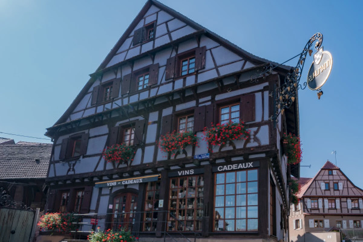 The Little Winegrower's Train - Bonjour Alsace
