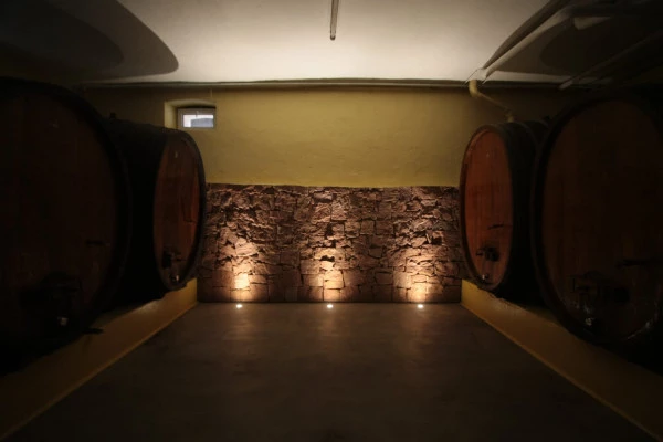 Senses on the edge: wine through smell and taste - Bonjour Alsace