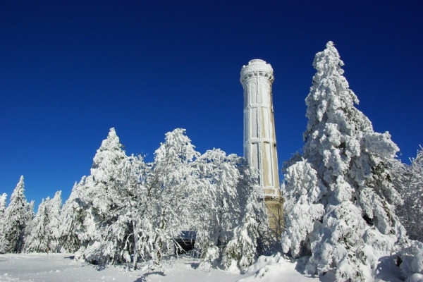 New Year's Day walk at Champ du Feu - Bonjour Alsace
