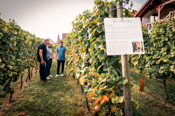 Parenthèse Vigneronne 'introduction to wine tasting' - tasting - Bonjour Alsace