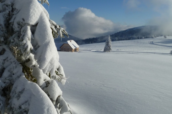 Snowshoe day on the Hohneck stubble - Bonjour Alsace