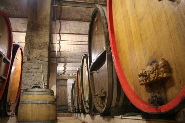 Meet the winegrower in his element! - Bonjour Alsace