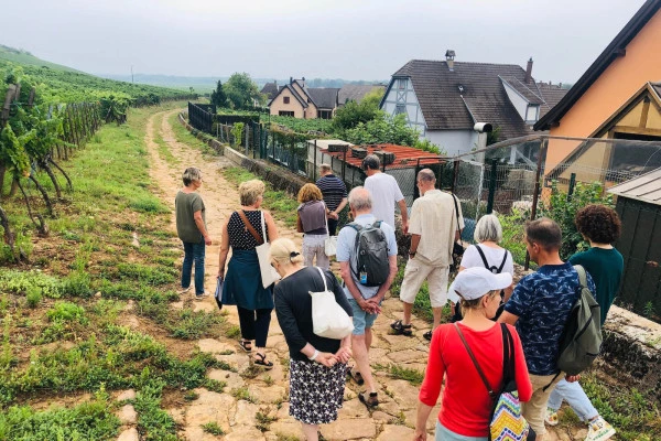 RIQUEWIHR #8 - Workshop Tournée des Terroirs - Discovering the Schoenenbourg Grand Cru - Bonjour Alsace