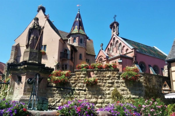 Safari-Tour Les emblématiques journée - Bonjour Alsace