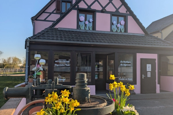 “Wine and Music” concert and tasting evening - Bonjour Alsace