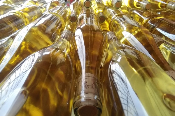 “Wine and Music” concert and tasting evening - Bonjour Alsace