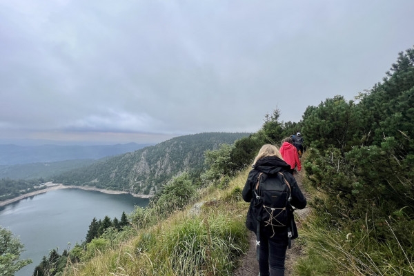 Outing 'Meet the chamois'. - Bonjour Alsace
