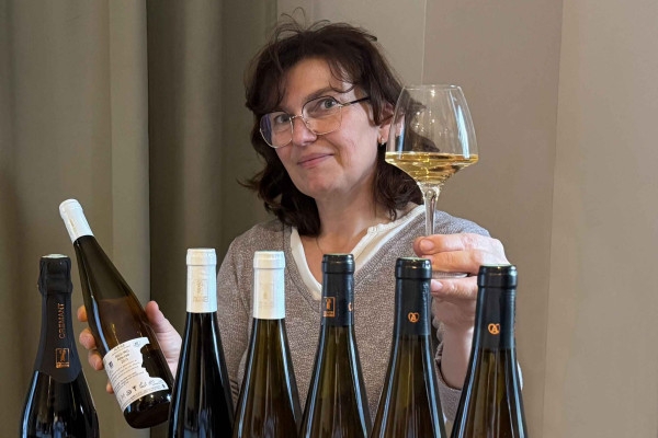 Tasting of Alsace's must-try organic wines - Bonjour Alsace