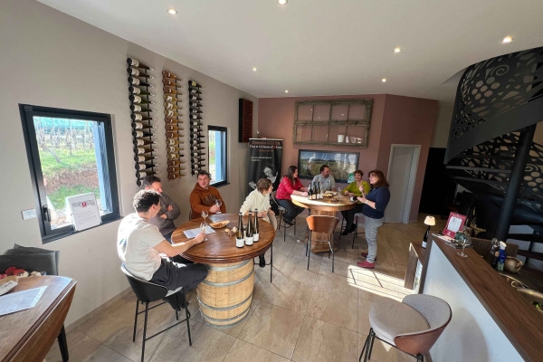 Tasting of Alsace's must-try organic wines - Bonjour Alsace