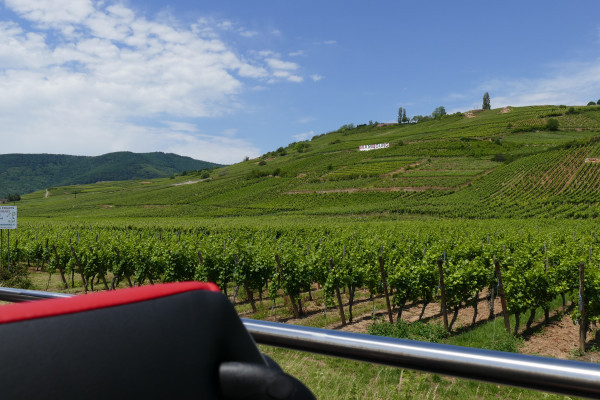 From Strasbourg: "Best Of Alsace" day tour - Bonjour Alsace