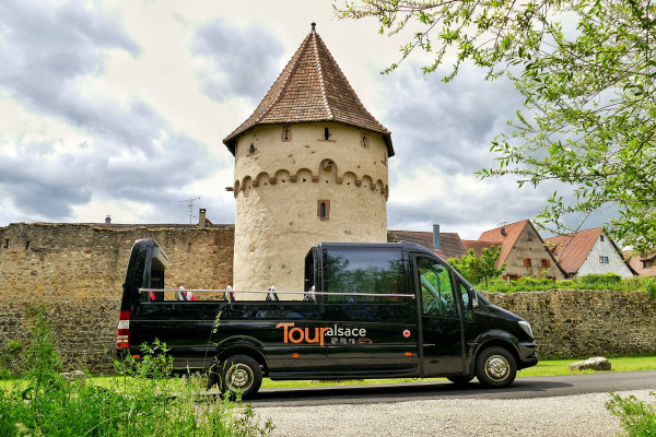 From Strasbourg: Pearl of the Vineyard day tour - Bonjour Alsace