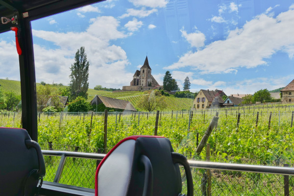 From Strasbourg: Pearl of the Vineyard day tour - Bonjour Alsace