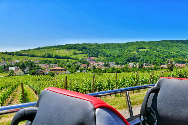 From Strasbourg: "Coeur d'Alsace" PRIVATE day tour - Bonjour Alsace