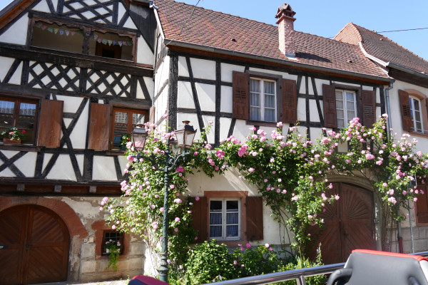 From Strasbourg: "Coeur d'Alsace" PRIVATE day tour - Bonjour Alsace