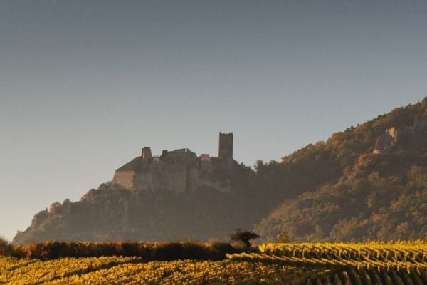 Alsace vineyards and wine tasting - Bonjour Alsace