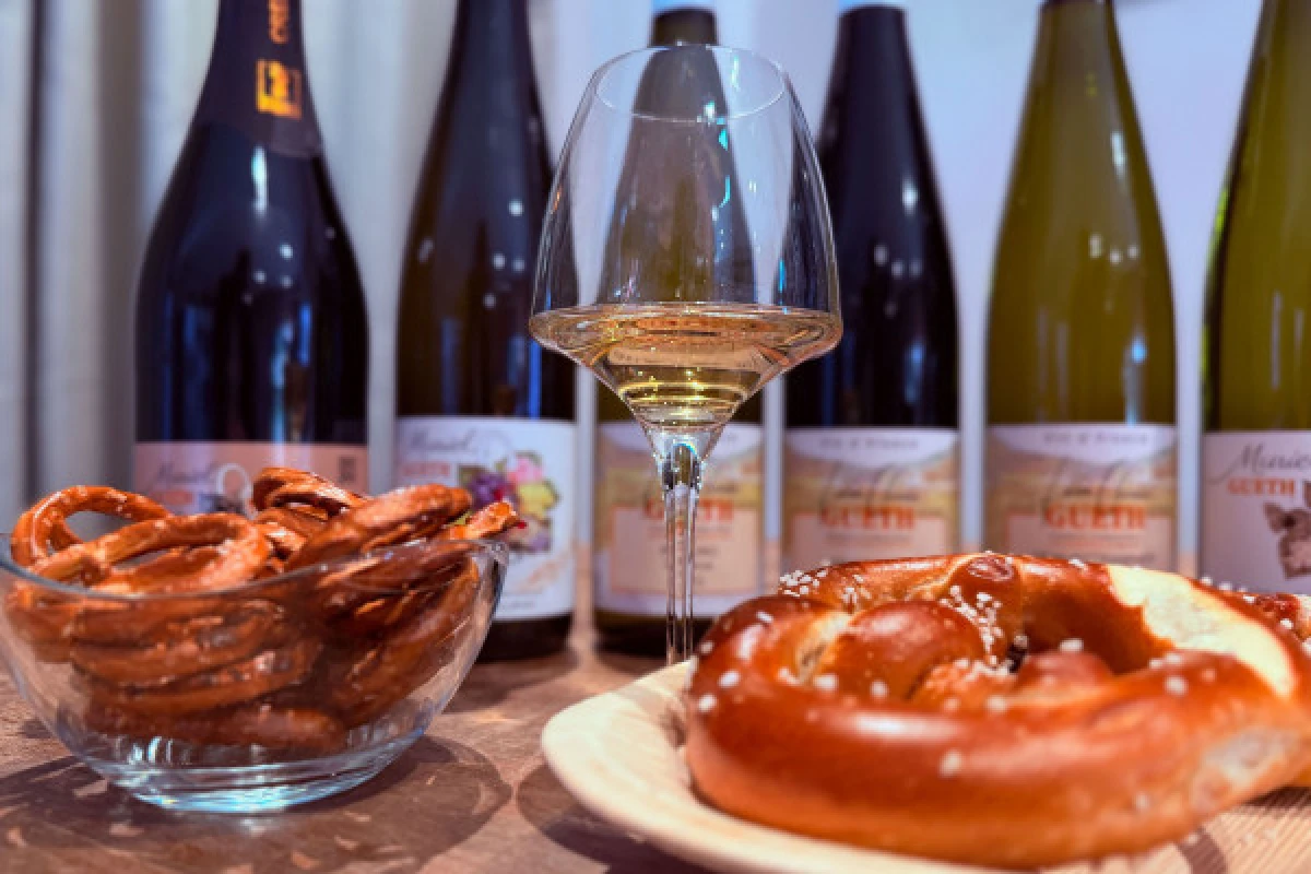 Cellar visit and wine tasting in Alsace, with a feminin touch - Bonjour Alsace