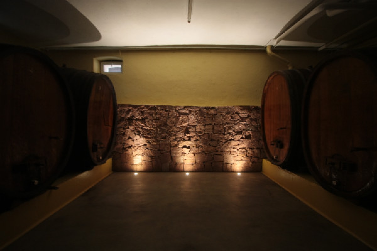 Traditional visit & wine tasting - 5 grape varieties - Bonjour Alsace