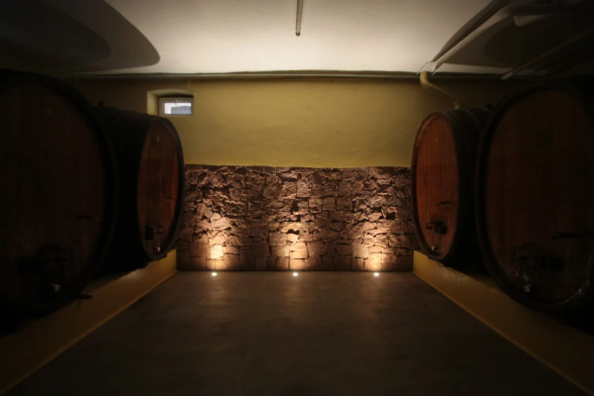 Traditional visit & wine tasting - 5 grape varieties - Bonjour Alsace