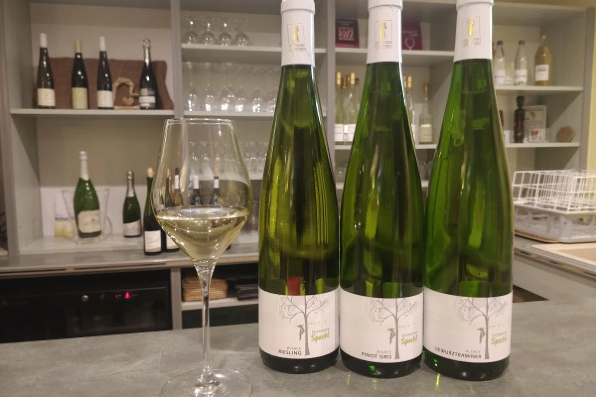 Traditional visit & wine tasting - 5 grape varieties - Bonjour Alsace