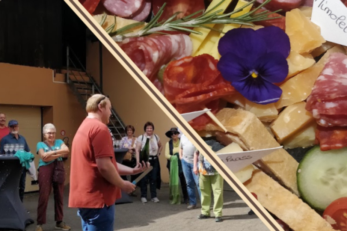 Traditional visit & wine tasting - 5 grape varieties - Bonjour Alsace