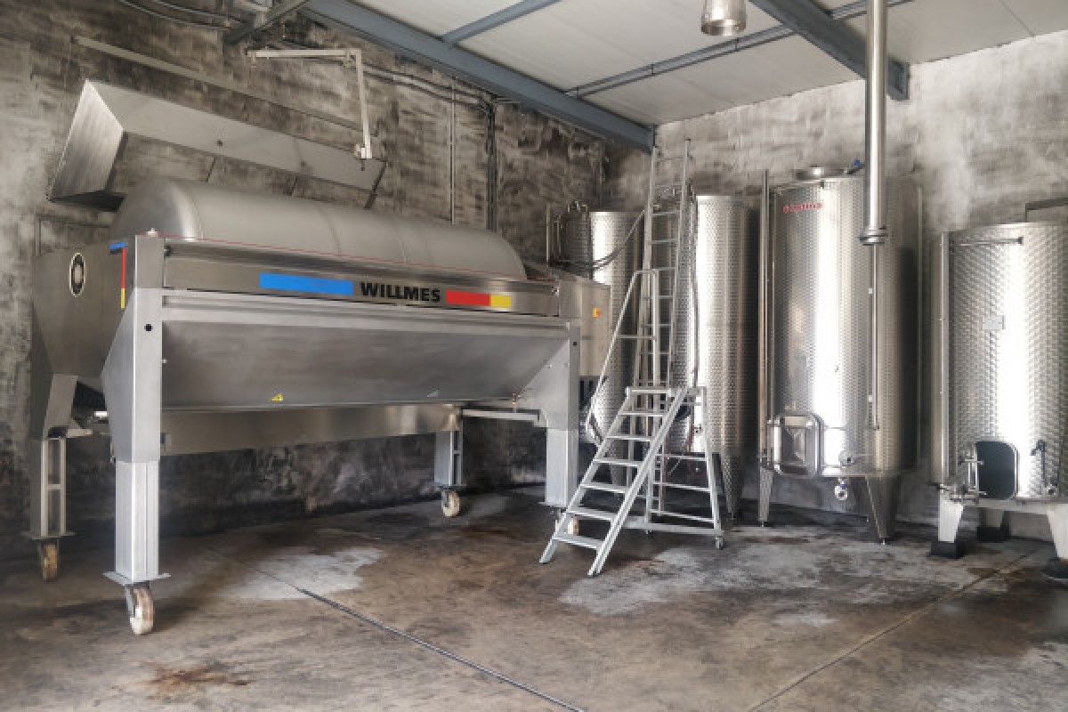 Traditional visit & wine tasting - 5 grape varieties - Bonjour Alsace