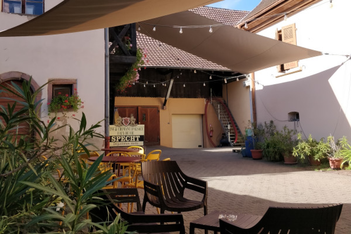 Traditional visit & wine tasting - 5 grape varieties - Bonjour Alsace