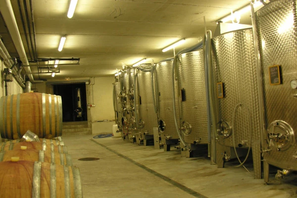 Cellar visit and discovery of Alsace wines - Bonjour Alsace