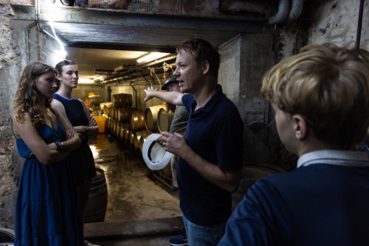 Cellar visit and discovery of Alsace wines - Bonjour Alsace