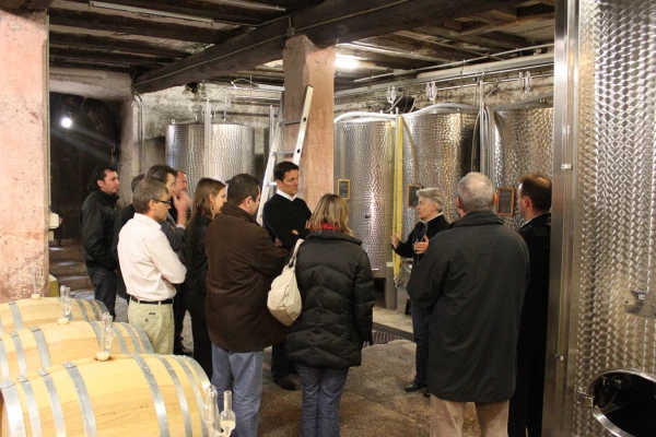Cellar visit and discovery of Alsace wines - Bonjour Alsace