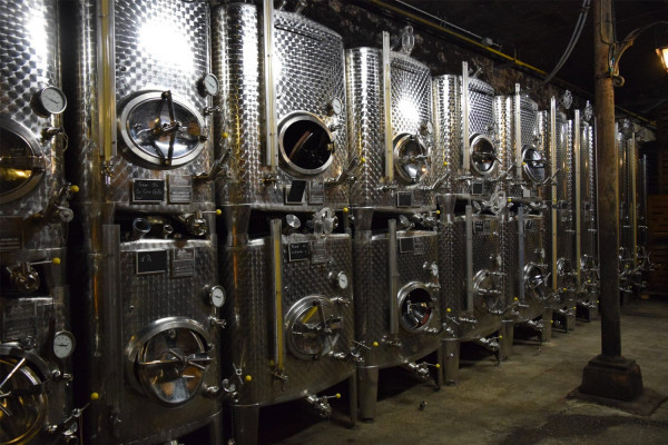 Discovery tour of our cellars! - Bonjour Alsace