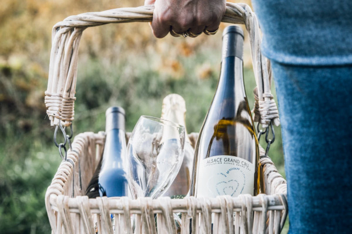 Panier de pique nique