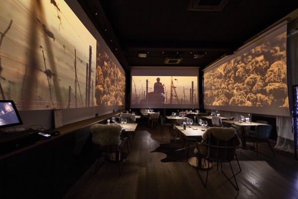 Wine tour, tasting and Alsatian meal - 100% immersive experience - Bonjour Alsace